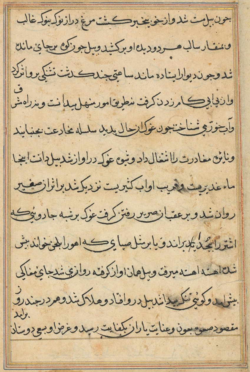 Stránka z Příběhů papouška Tuti-nama: textová stránka, c. 1560. od Unbekannt