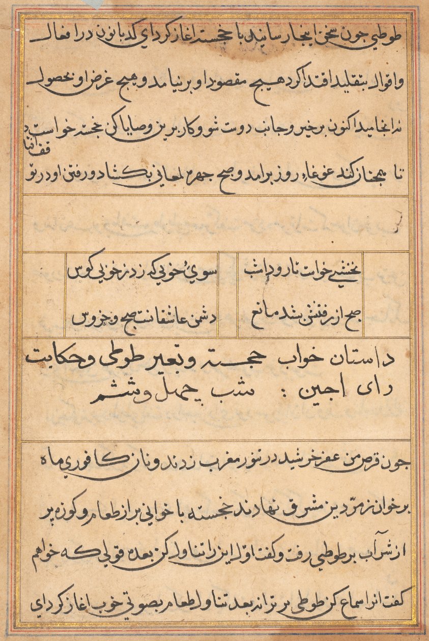 Stránka z Příběhů papouška Tuti-nama: textová stránka, c. 1560. od Unbekannt