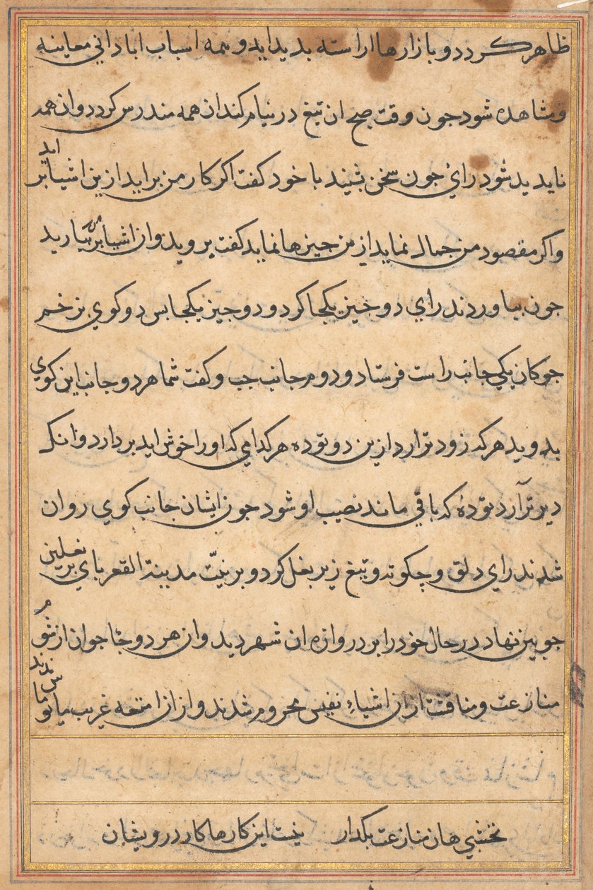 Stránka z Příběhů papouška Tuti-nama: textová stránka, c. 1560. od Unbekannt