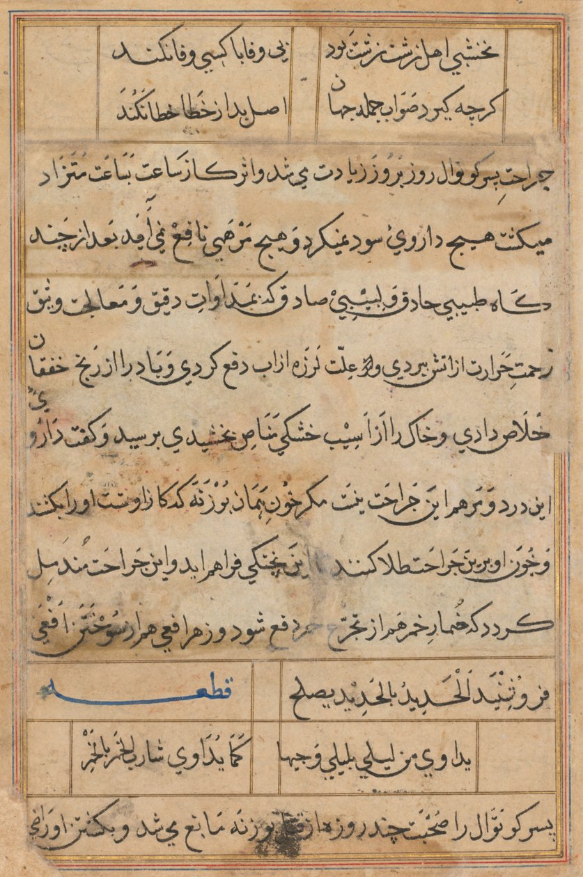 Stránka z Příběhů papouška Tuti-nama: textová stránka, c. 1560. od Unbekannt