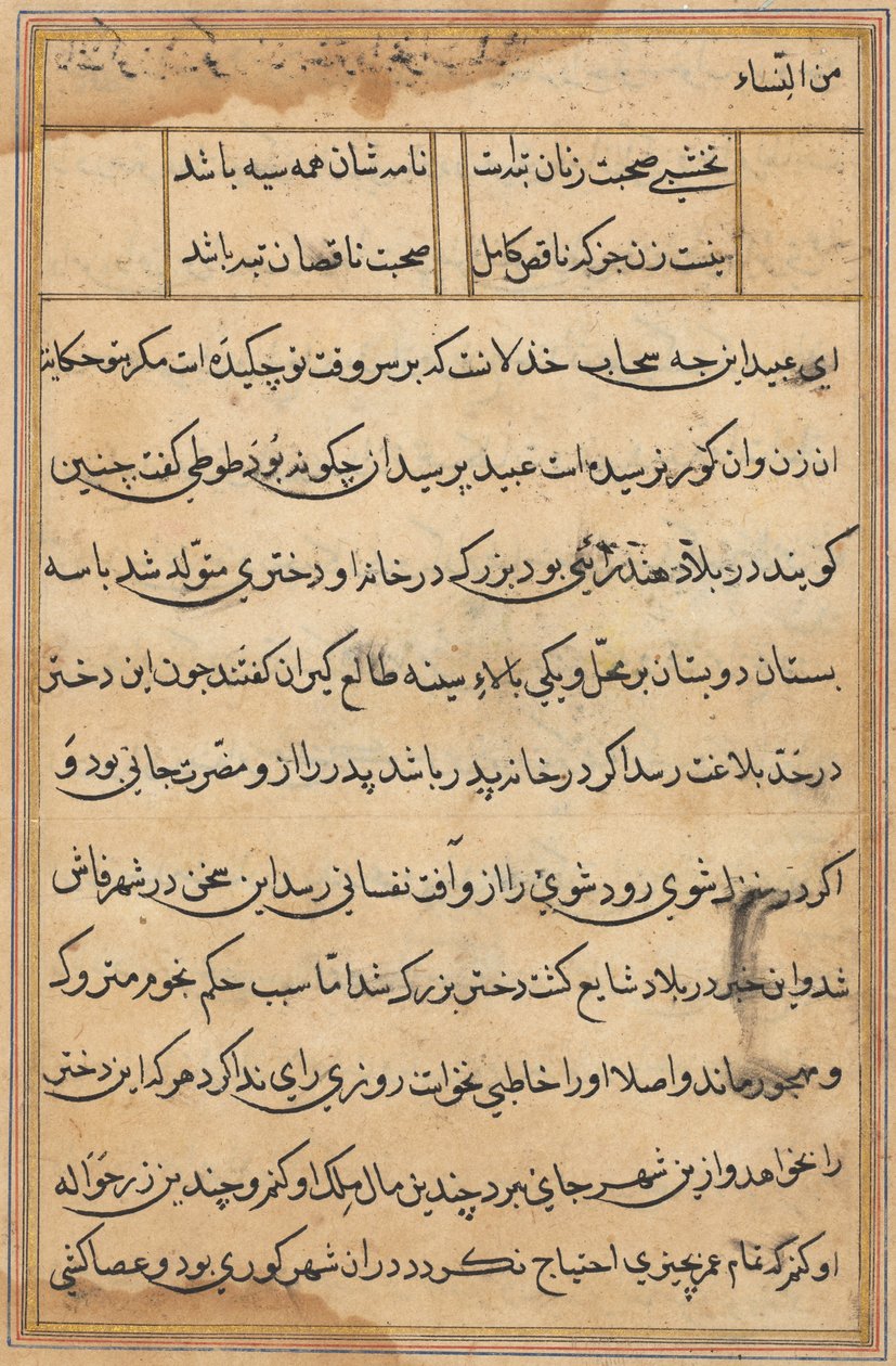Stránka z Příběhů papouška Tuti-nama: textová stránka, c. 1560. od Unbekannt