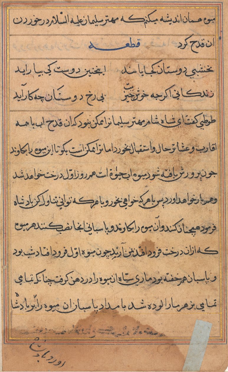 Stránka z Příběhů papouška Tuti-nama: textová stránka, c. 1560. od Unbekannt