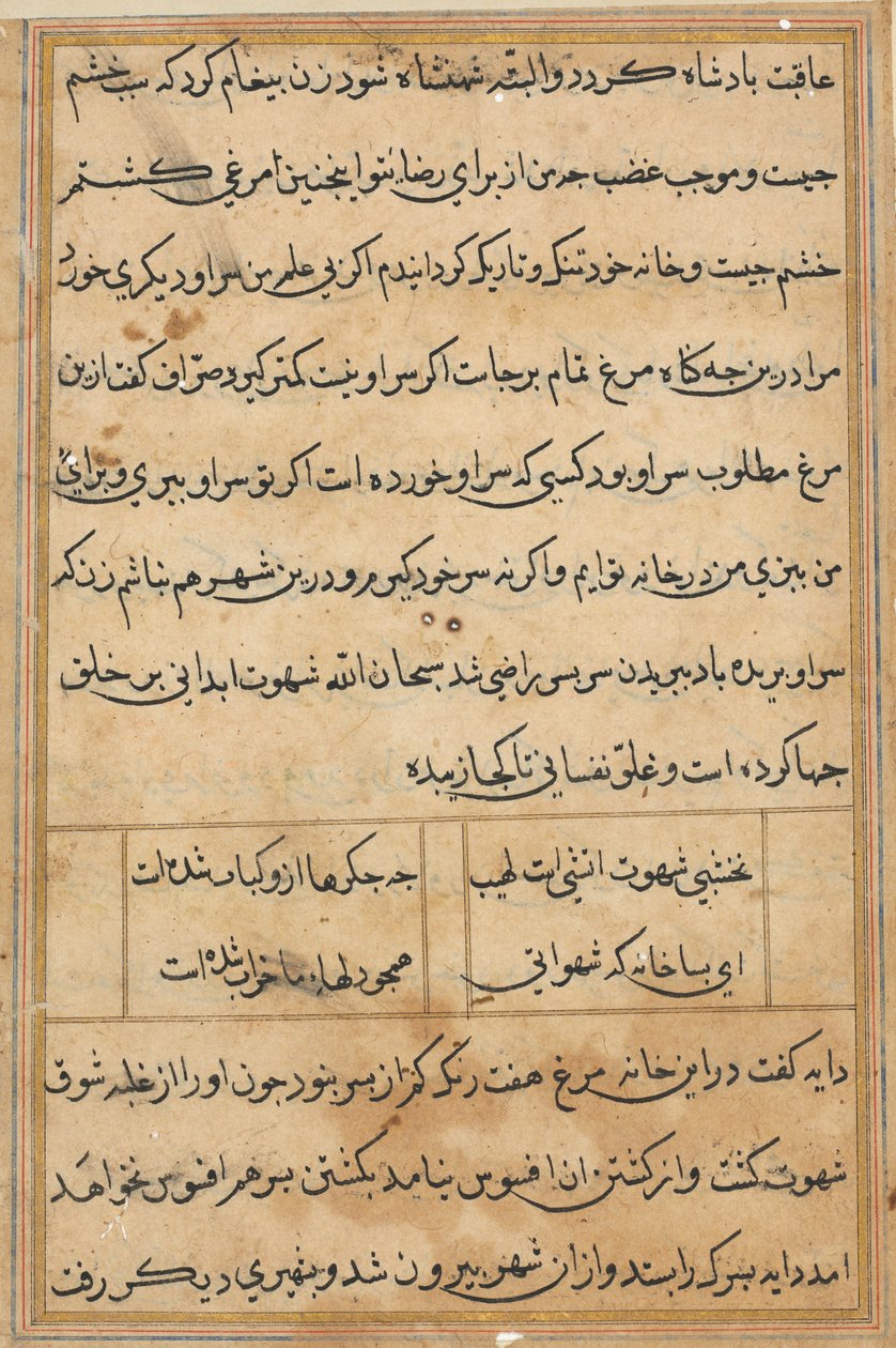Stránka z Příběhů papouška Tuti-nama: textová stránka, c. 1560. od Unbekannt