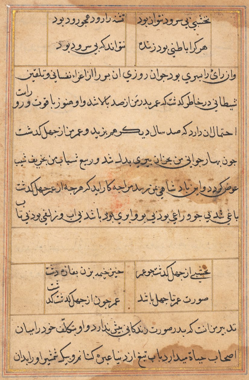 Stránka z Příběhů papouška Tuti-nama: textová stránka, c. 1560. od Unbekannt