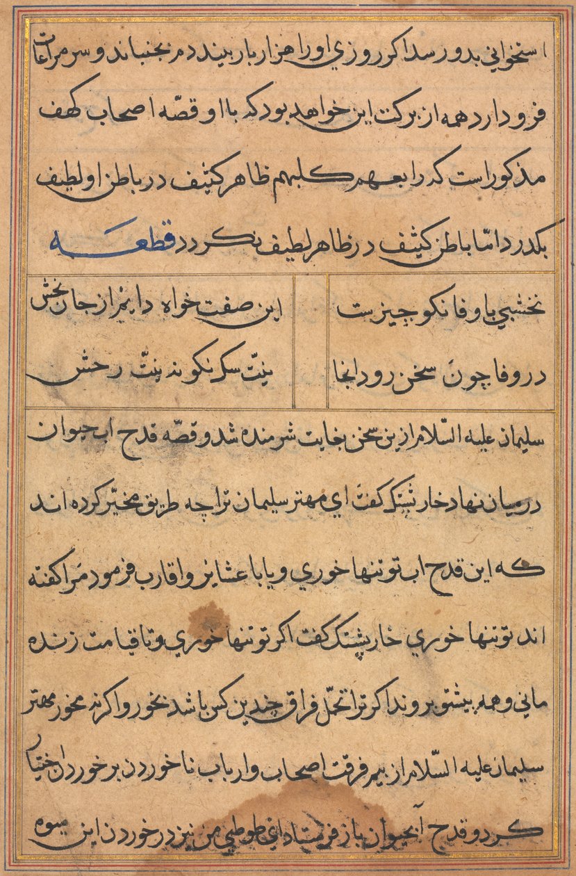 Stránka z Příběhů papouška Tuti-nama: textová stránka, c. 1560. od Unbekannt