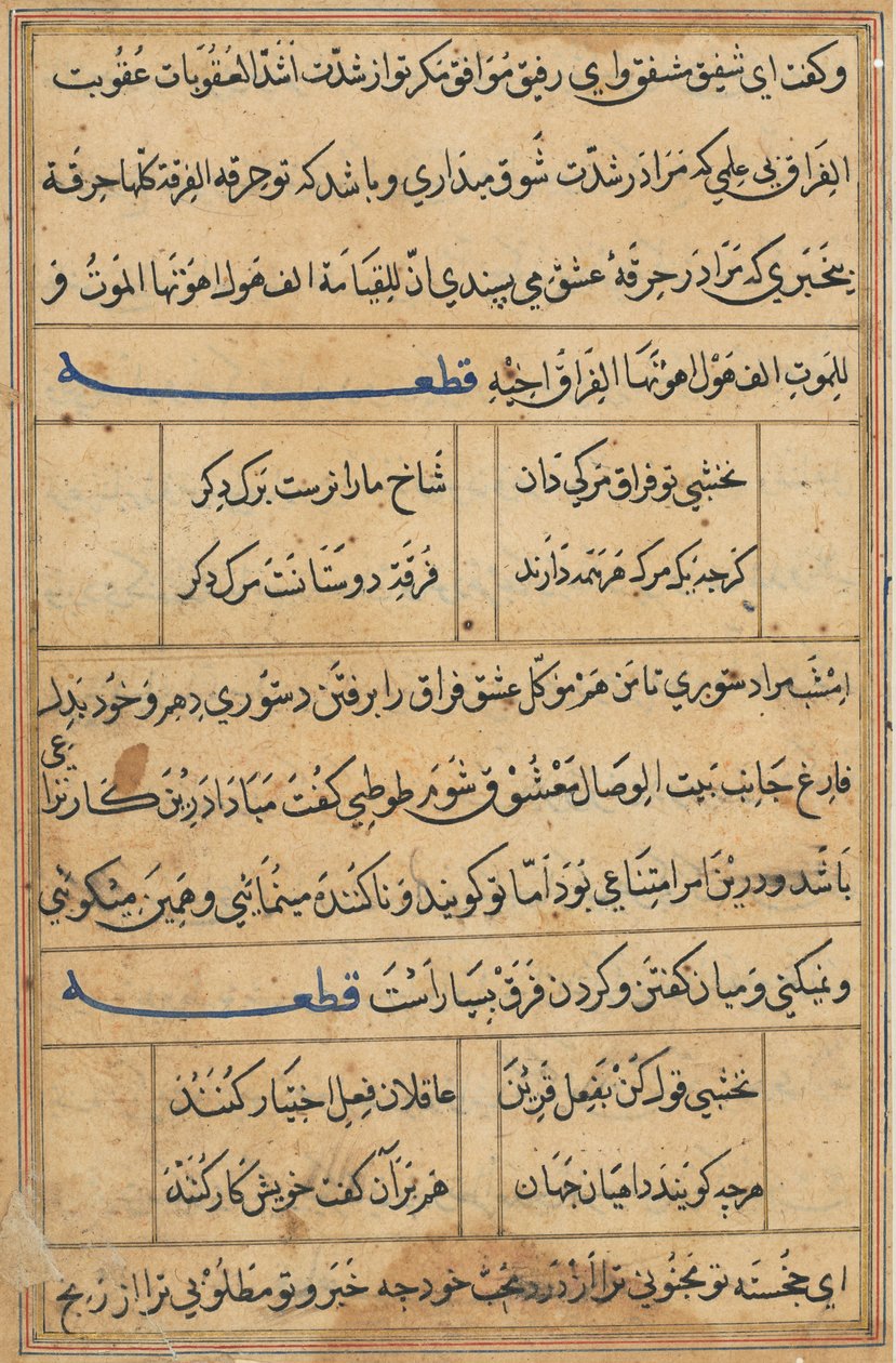 Stránka z Příběhů papouška Tuti-nama: textová stránka, c. 1560. od Unbekannt