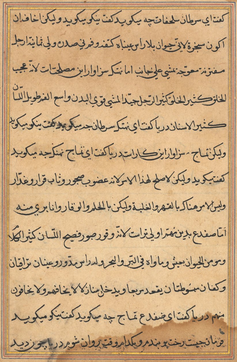 Stránka z Příběhů papouška Tuti-nama: textová stránka, c. 1560. od Unbekannt