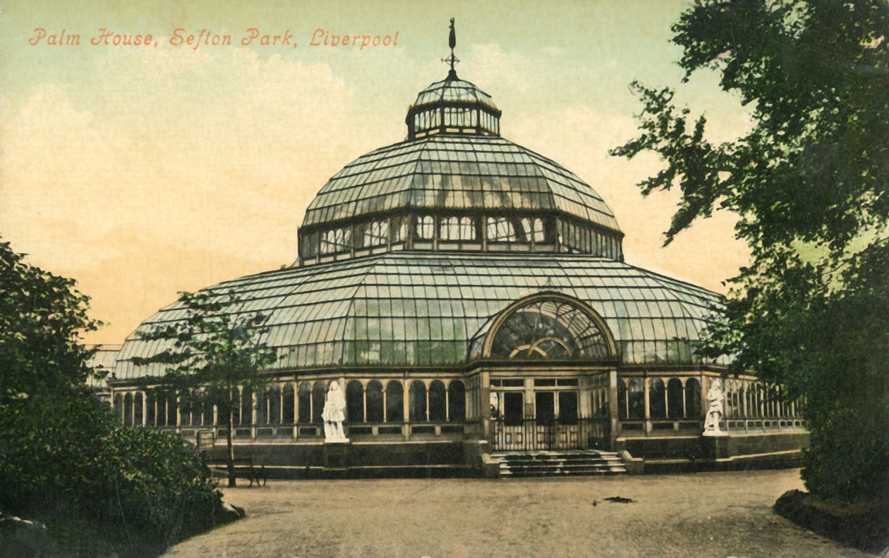 Palm House, Sefton Park, Liverpool, 1946. od Unbekannt