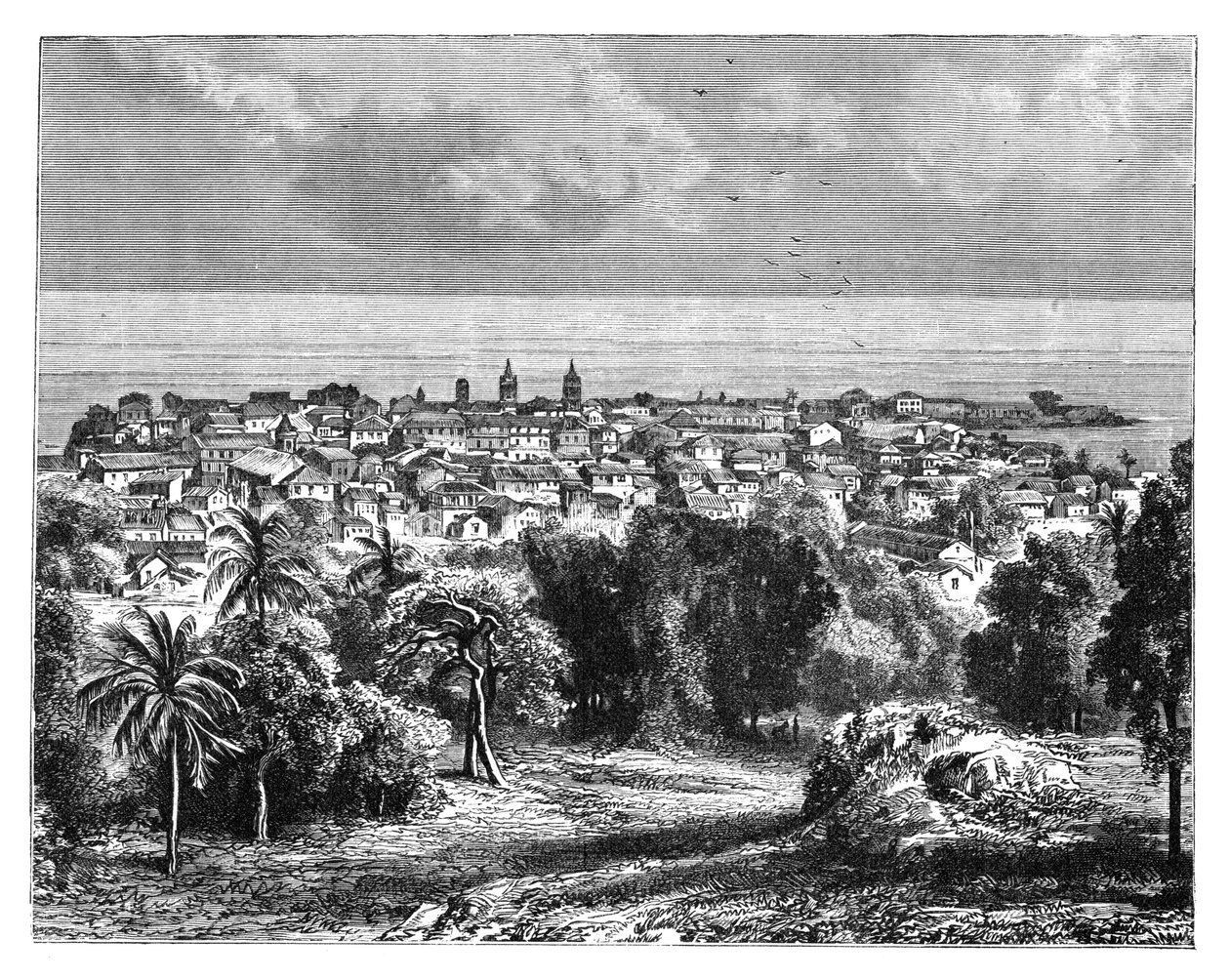 Panama City z hory Ancon, c1890 od Unbekannt