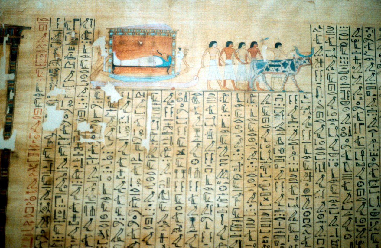 Papyrus ze starověké egyptské knihy mrtvých od Unbekannt