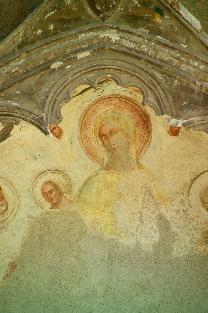 Zvláštní, Fresco, Quadriporticus, Katedrála, Salerno, Kampánie, Itálie od Unbekannt