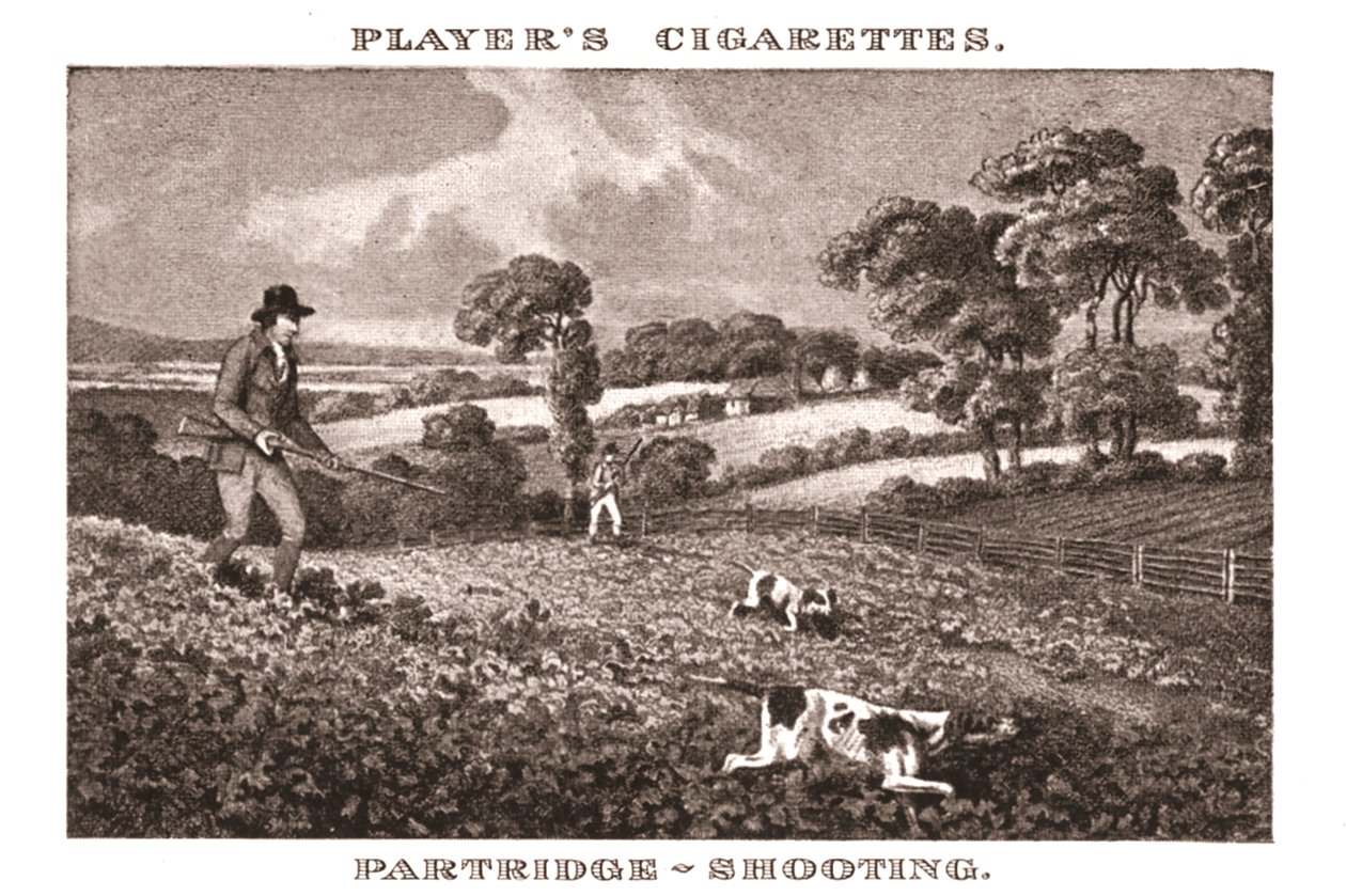 Partridge-Shooting, 1924. od Unbekannt