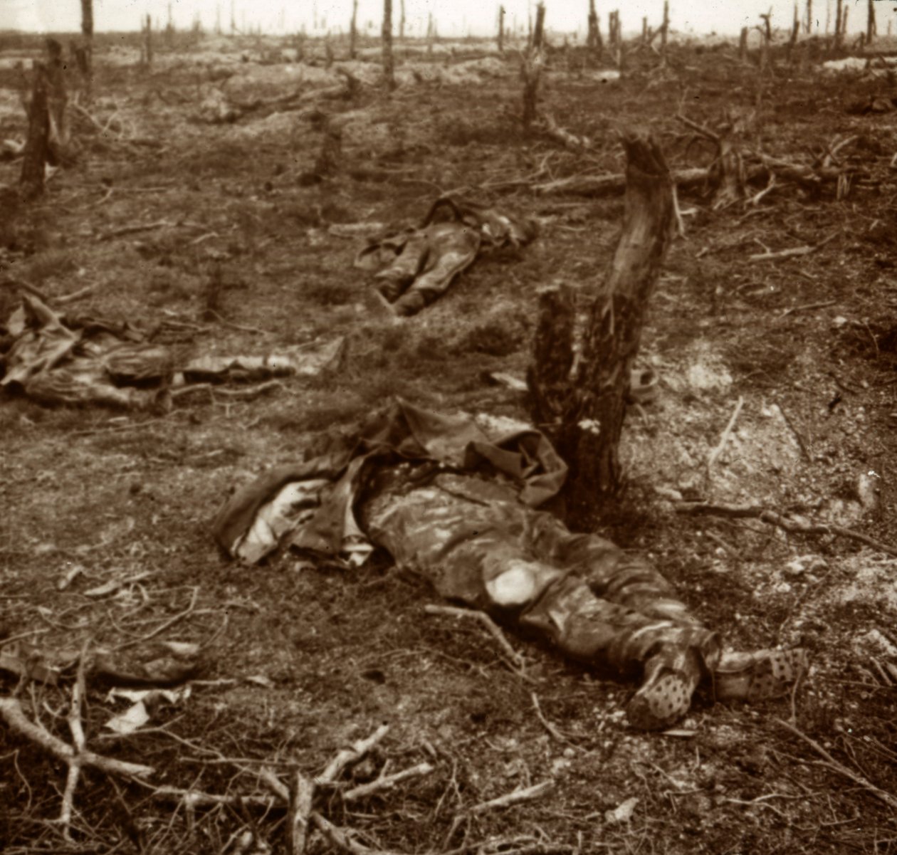 Cesta mezi těly, c1914-c1918 od Unbekannt