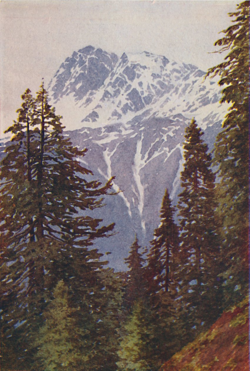 Vrchol v Himalájích, 1924 od Unbekannt