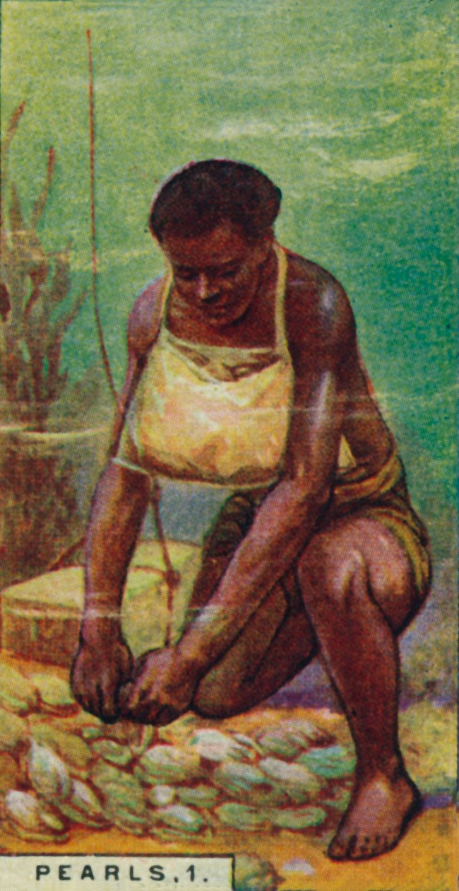 Pearls 1. Native Diver at Work, Cejlon, 1928 od Unbekannt