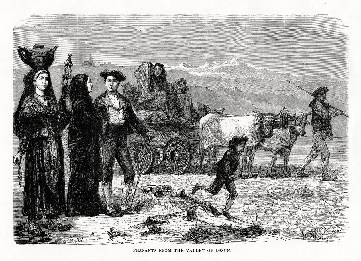 Rolníci z údolí Ossun, Francie, 1879 od Unbekannt