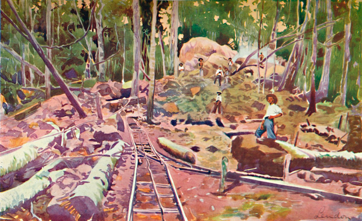 Pronikání do amazonského pralesa – železnice Madeira-Mamoré, 1914 od Unbekannt