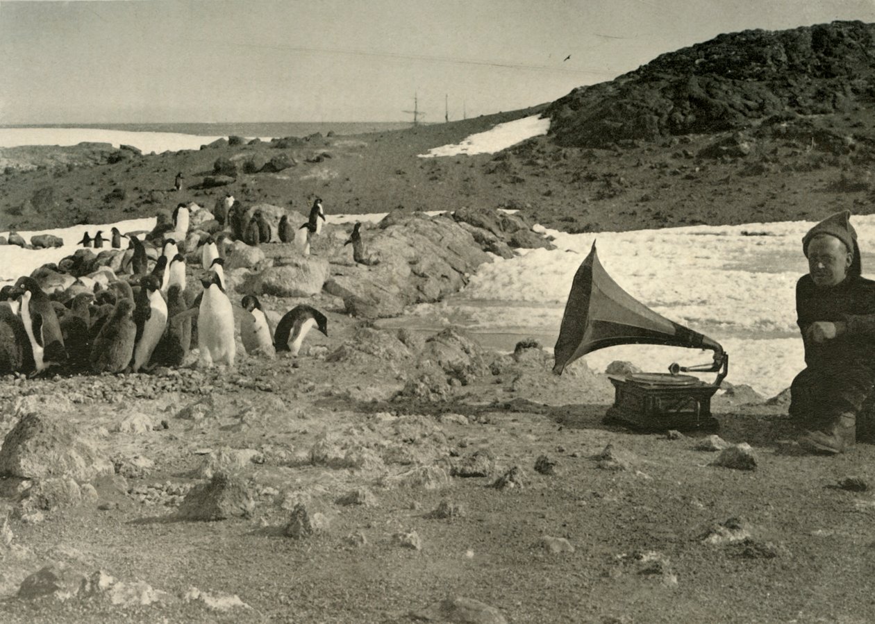 Tučňáci poslouchají gramofon v létě 1908, 1909 od Unbekannt