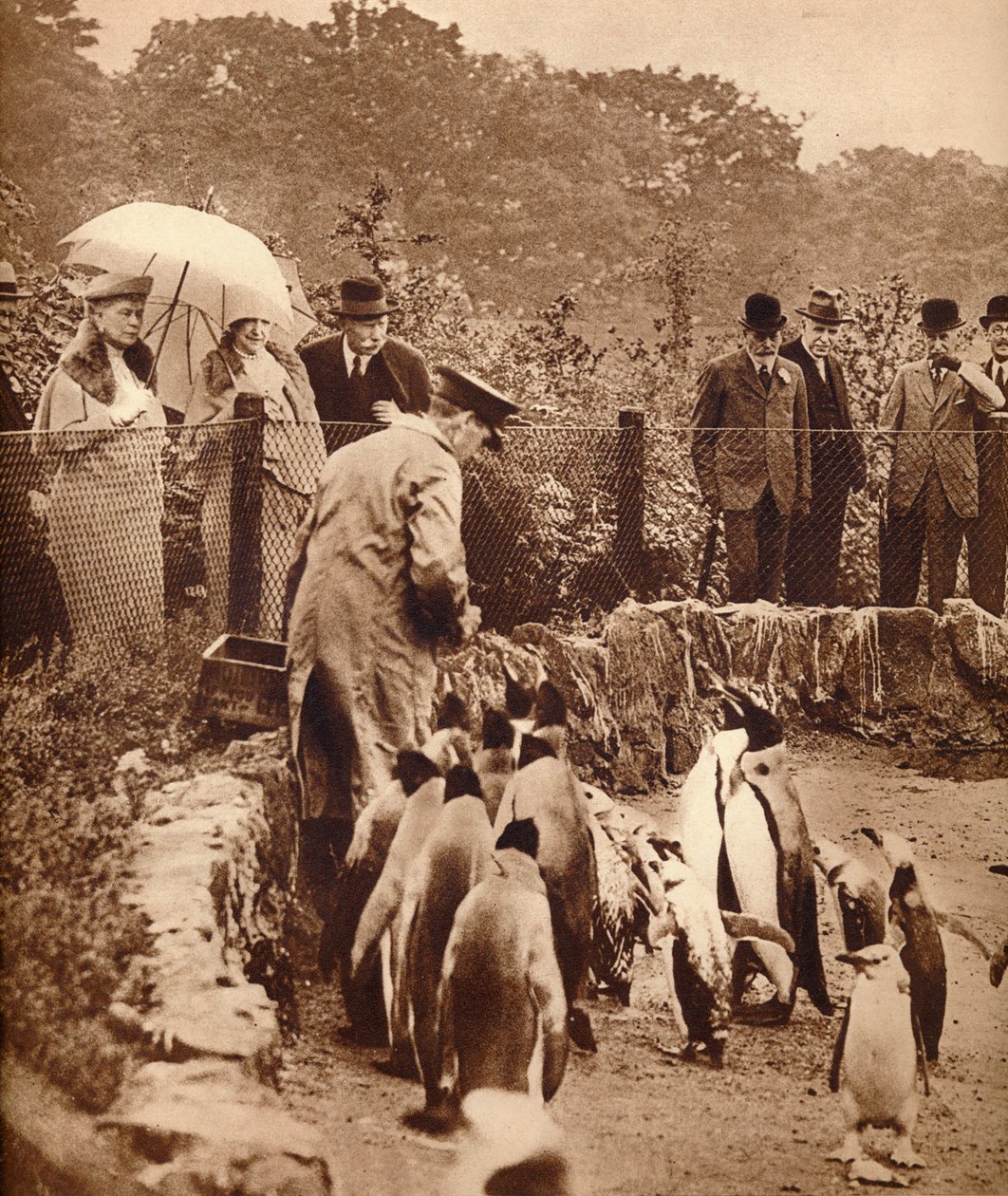 Tučňáci na přehlídce krále, 1934 1935 od Unbekannt