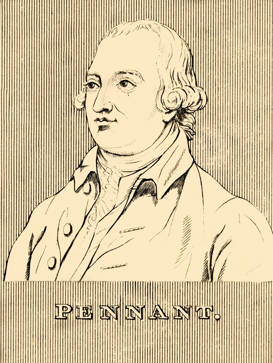 Vlajka, 1726-1798, 1830. od Unbekannt