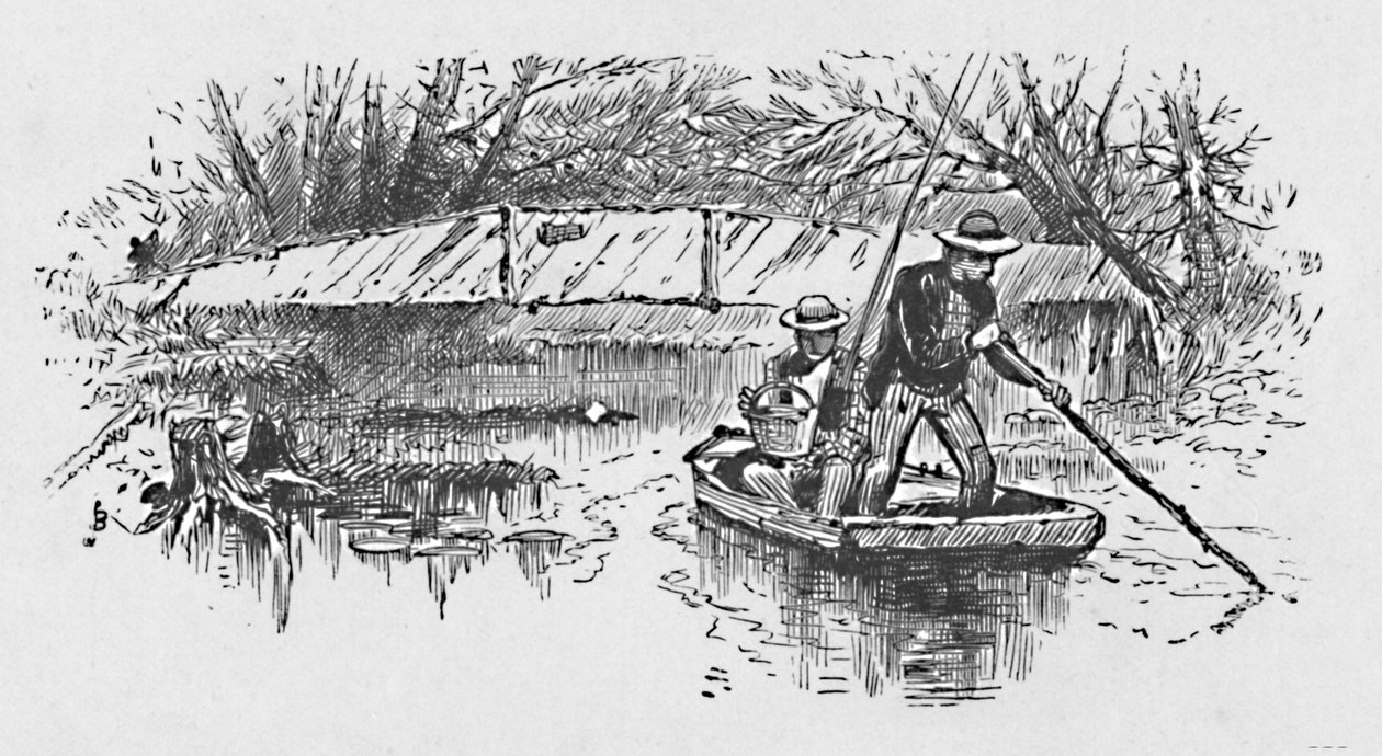 Lov okounů na jezeře, 1883 od Unbekannt