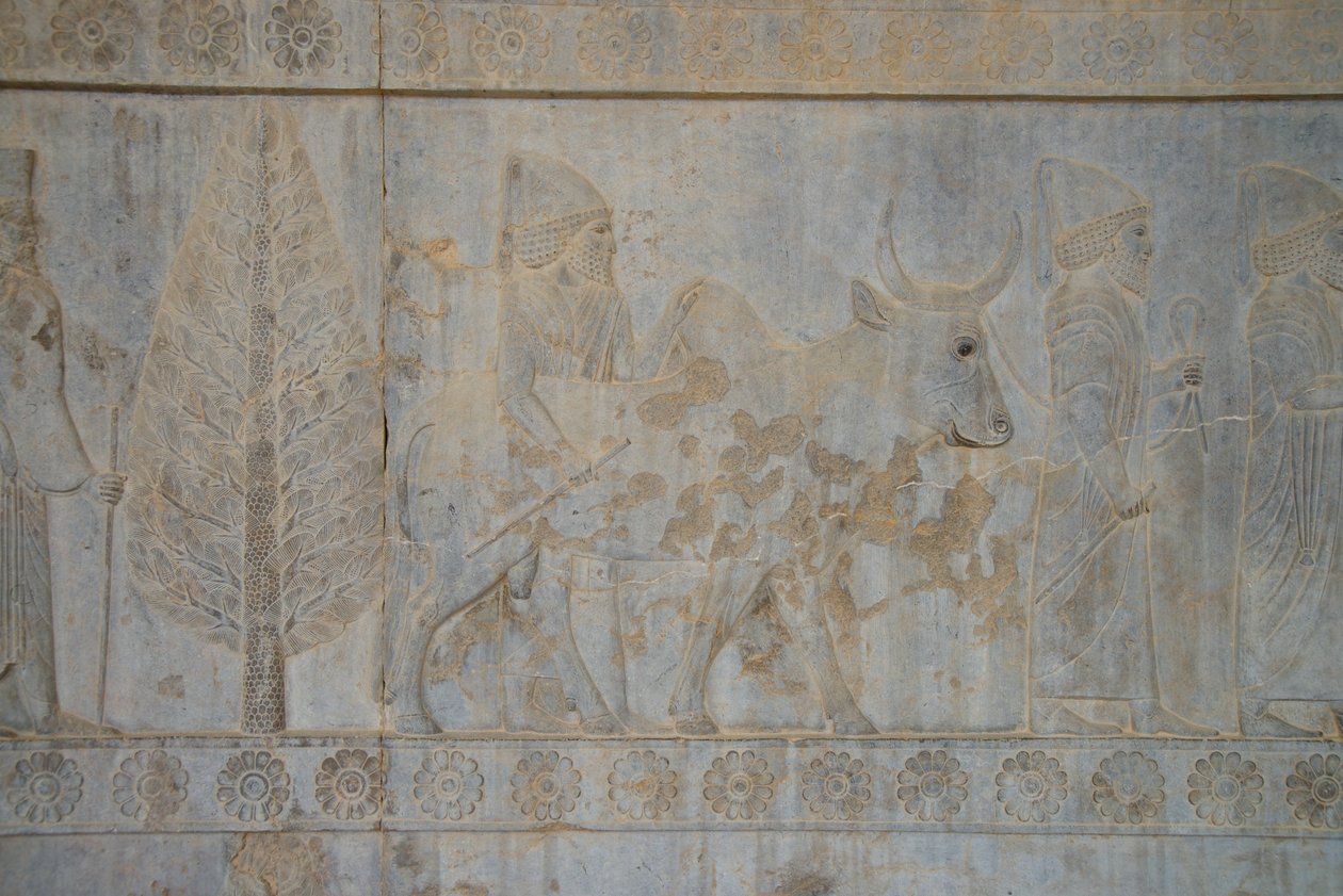 Persepolis, Írán (foto) od Unbekannt