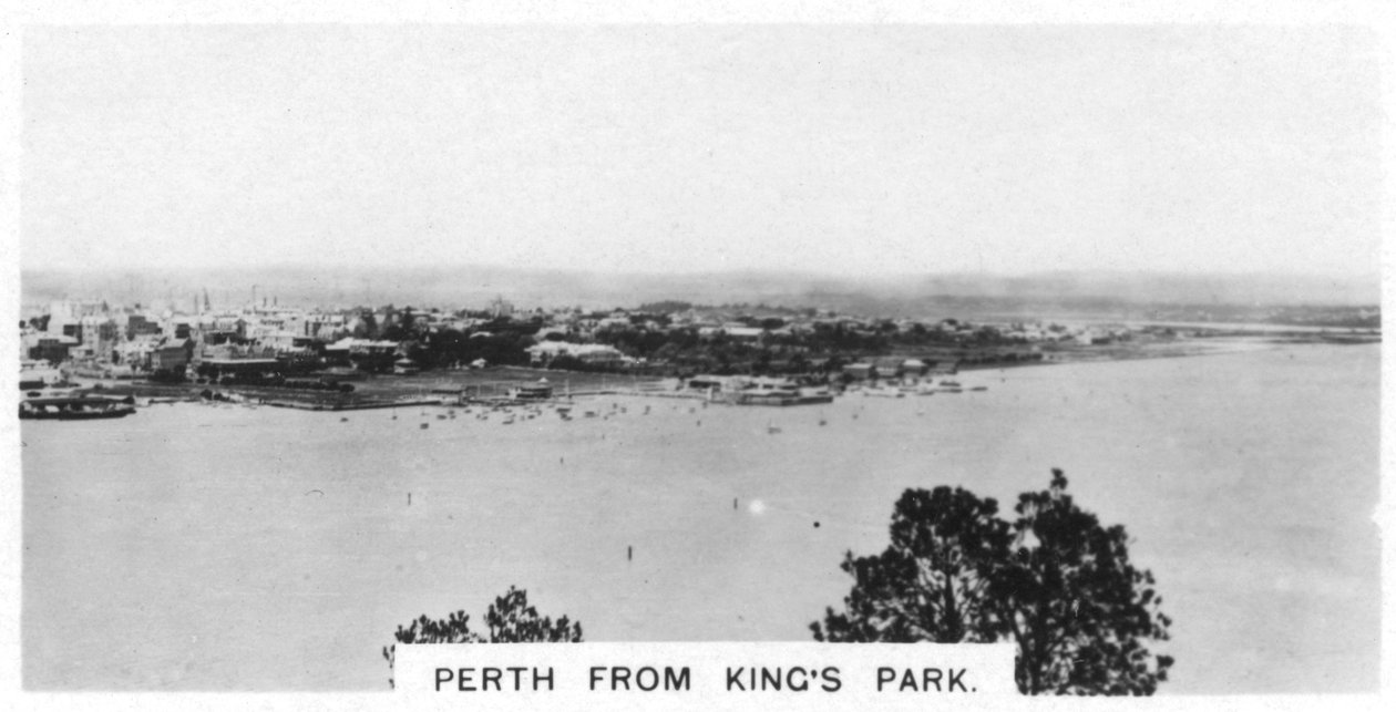 Perth z Kings Park, Západní Austrálie, 1928 od Unbekannt
