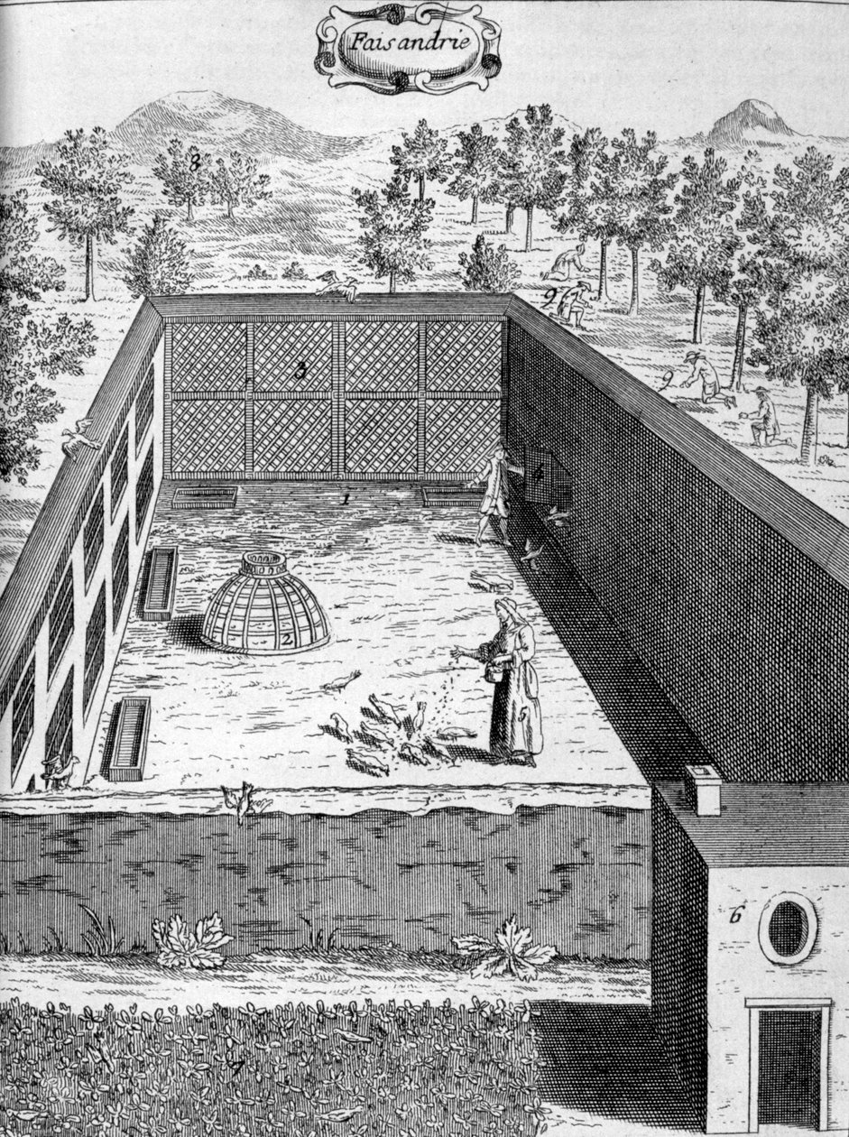 Bažantnice, 1775 od Unbekannt