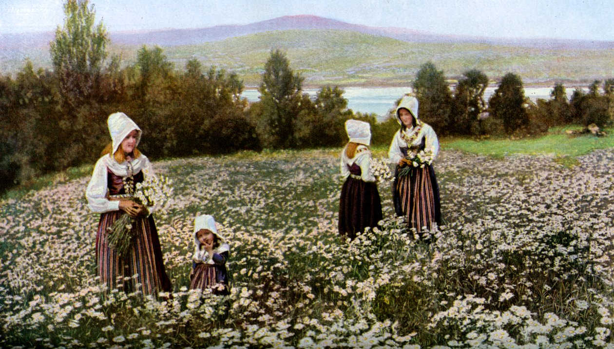 Sbírání květin na louce poblíž Leksand, Švédsko, c1923 od Unbekannt
