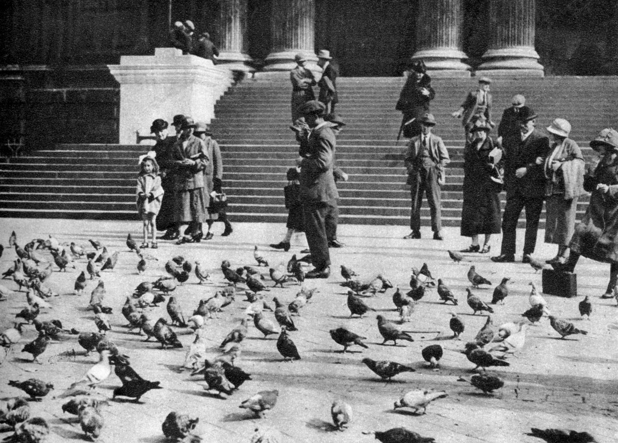 Holubi na Trafalgar Square, Londýn, 1926-1927 od Unbekannt