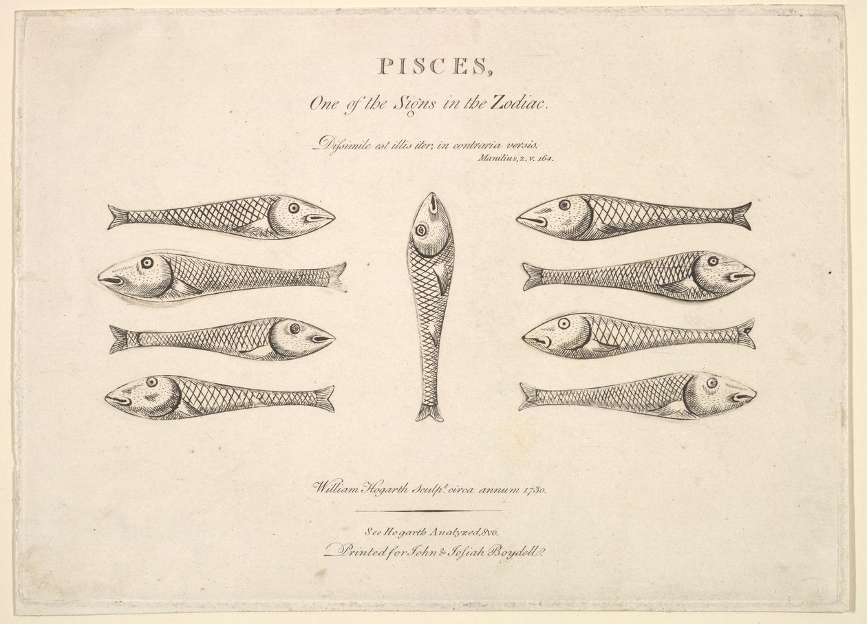 Ryby: Hogarths Quadrille Fish, ca. 1730. od Unbekannt