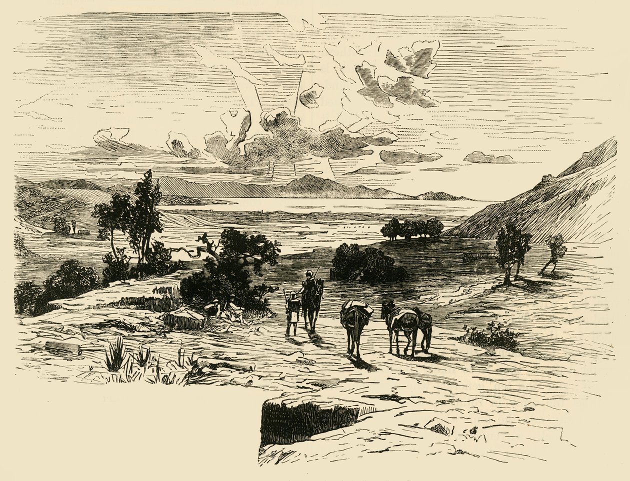 Plain of Marathon, 1890. od Unbekannt