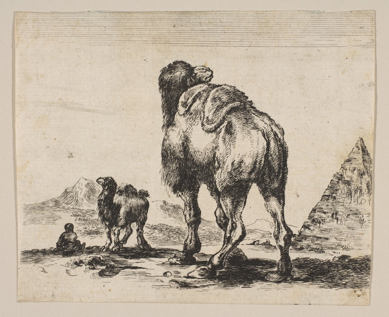 Deska 18: velbloud při pohledu zezadu s pyramidou vpravo, z Různá zvířata Di..., po roce 1641. od Unbekannt