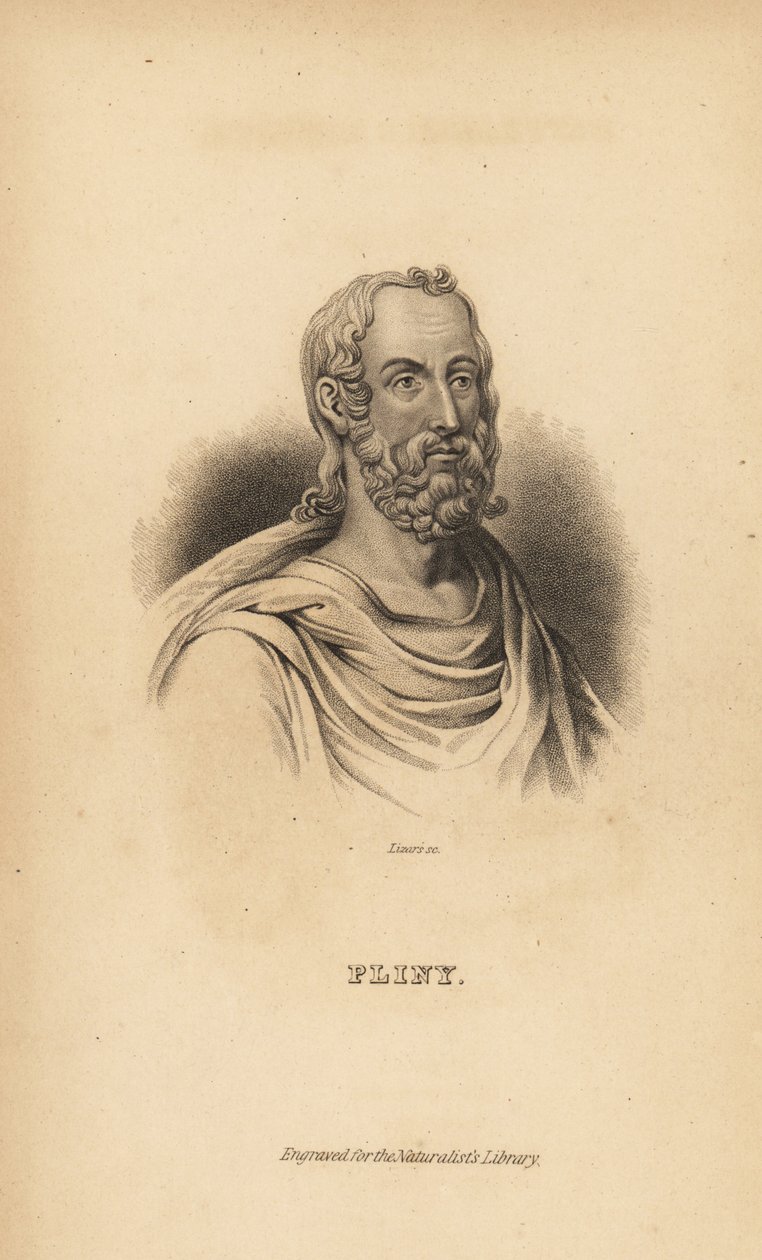 Plinius starší, Gaius Plinius Secundus, římský autor, přírodovědec a přírodní filozof, AD23-79 od Unbekannt