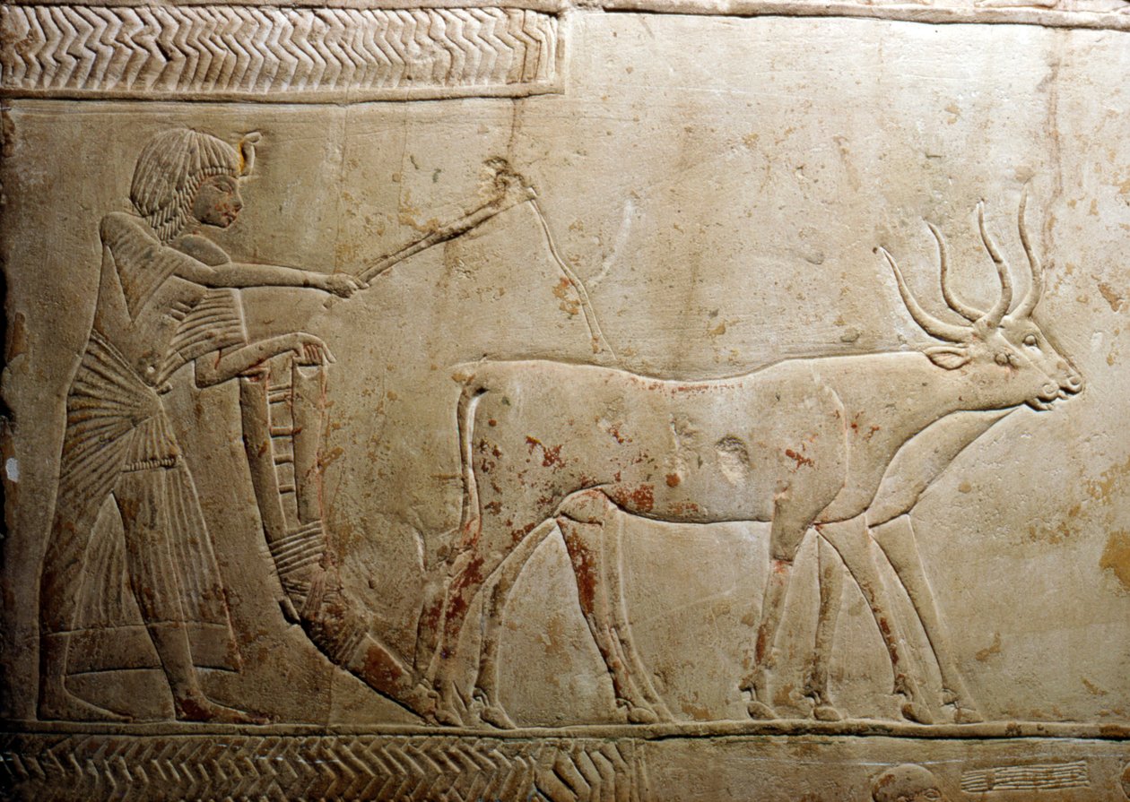 Orba z egyptské stély, 18. dynastie, 1332 př. n. l. – 1323 př. n. l. od Unbekannt
