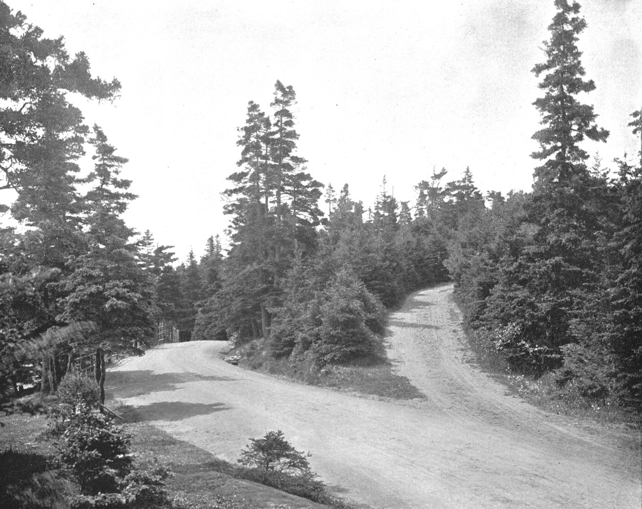 Point Pleasant Park, Halifax, Nova Scotia, Kanada, c1900. od Unbekannt