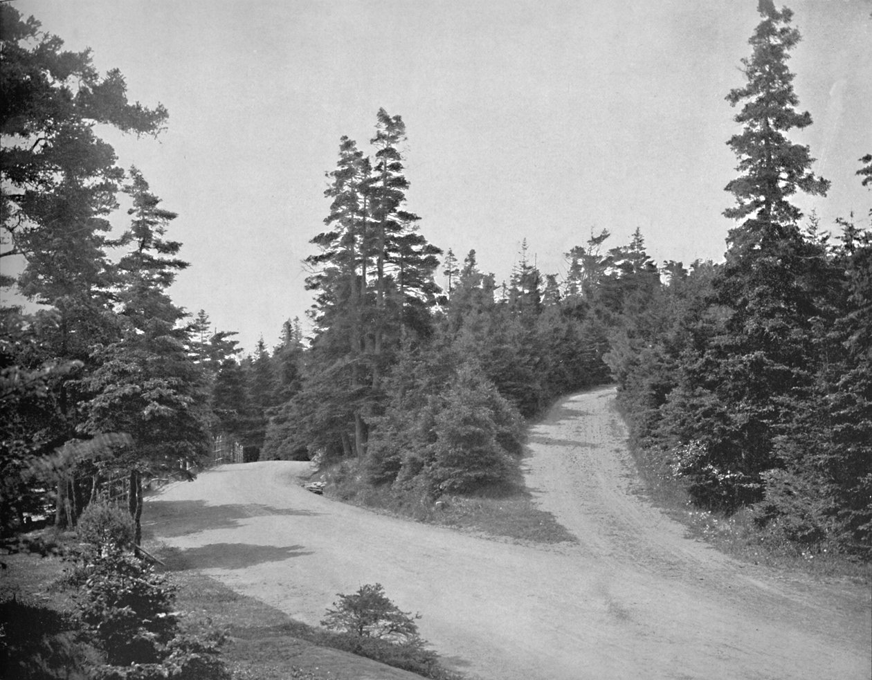 Point Pleasant Park, Halifax, Nova Scotia, c1897. od Unbekannt