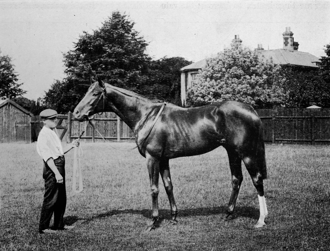 Polar Star, 1911 od Unbekannt