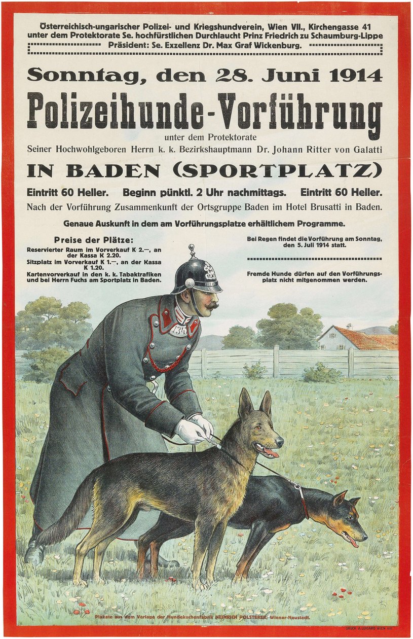 Demonstrace policejních psů v Badenu, 1914. od Unbekannt