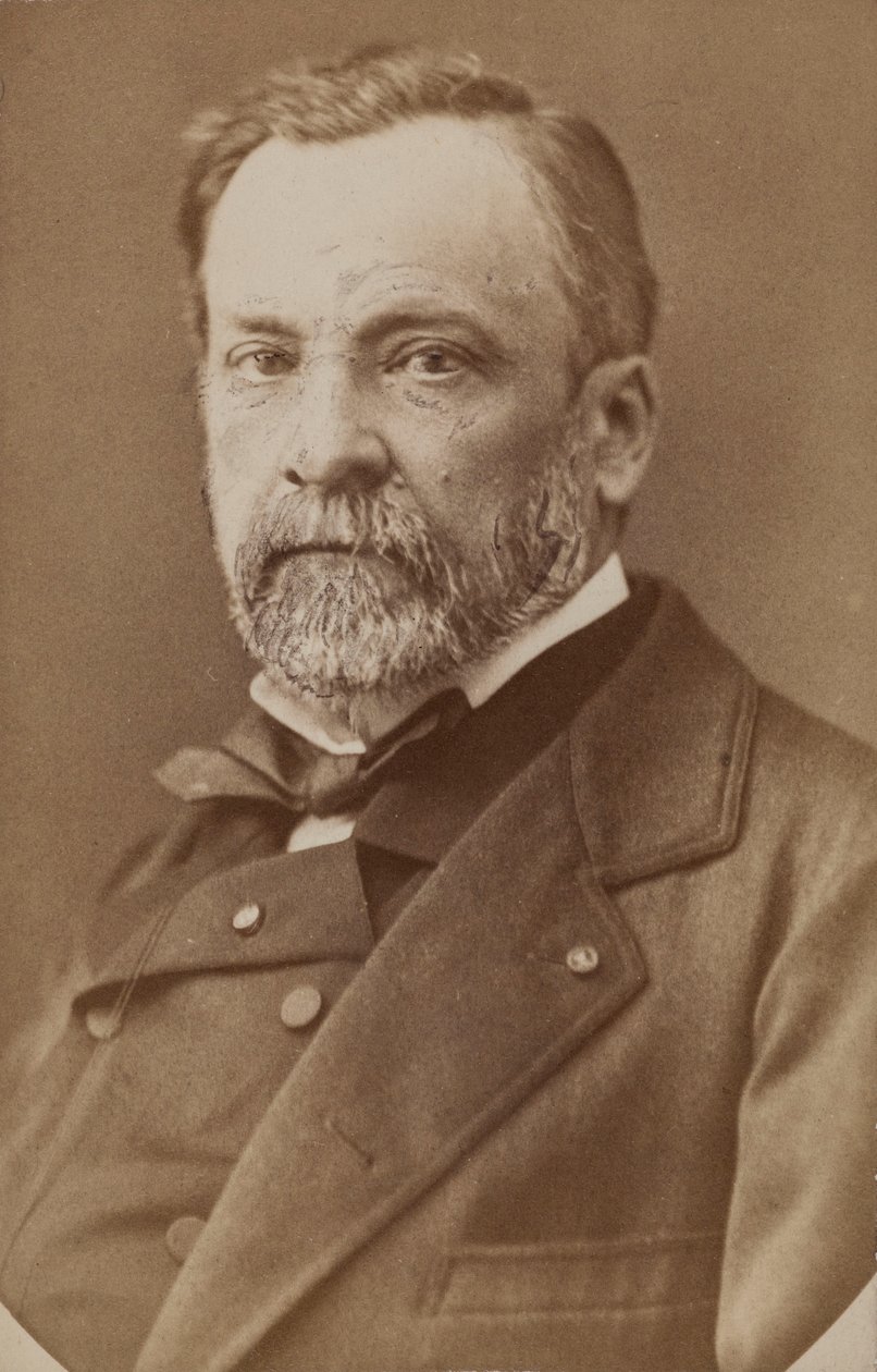 Portrét Louise Pasteura 1822-1895, c. 1870. od Unbekannt