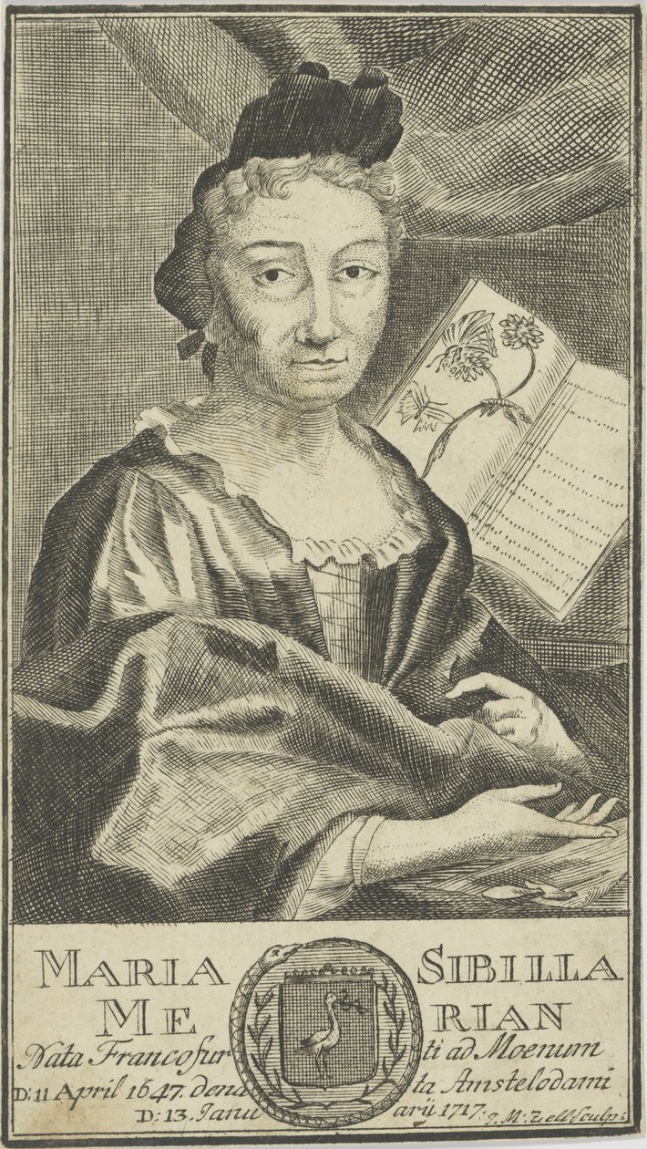 Portrét Marie Sibylly Merian 1647-1717, 1755. od Unbekannt