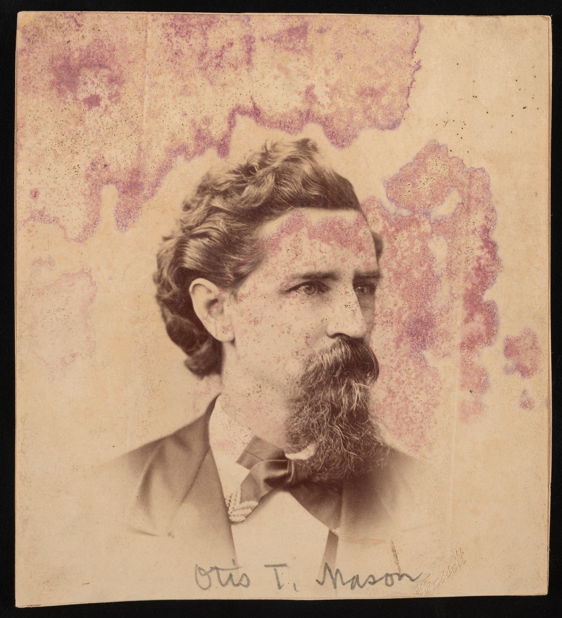Portrét Otise Tuftona Masona 1838-1908, před rokem 1900. od Unbekannt
