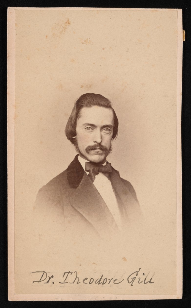 Portrét Theodora Nicholase Gilla 1837-1914, cca 1860. od Unbekannt