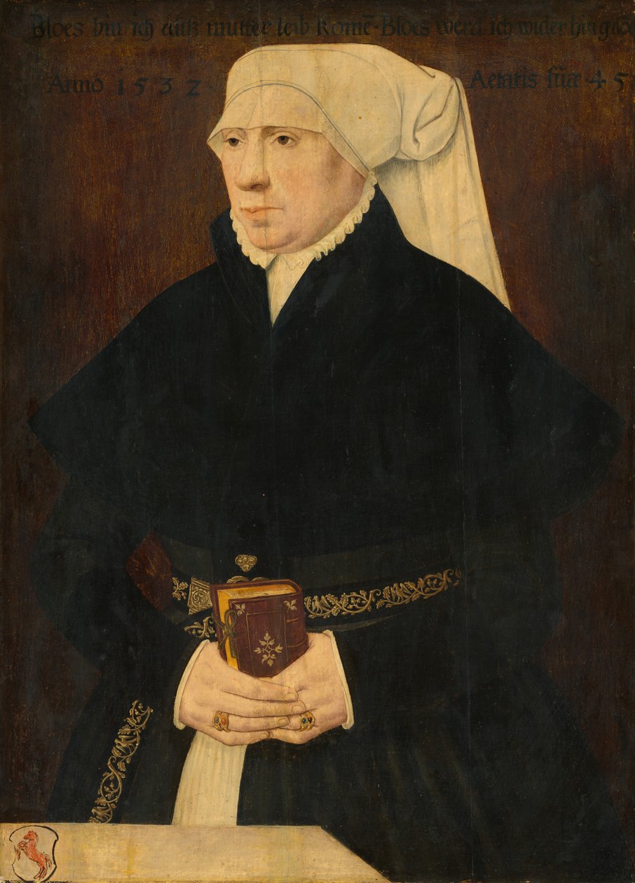Portrét dámy, 1532. od Unbekannt