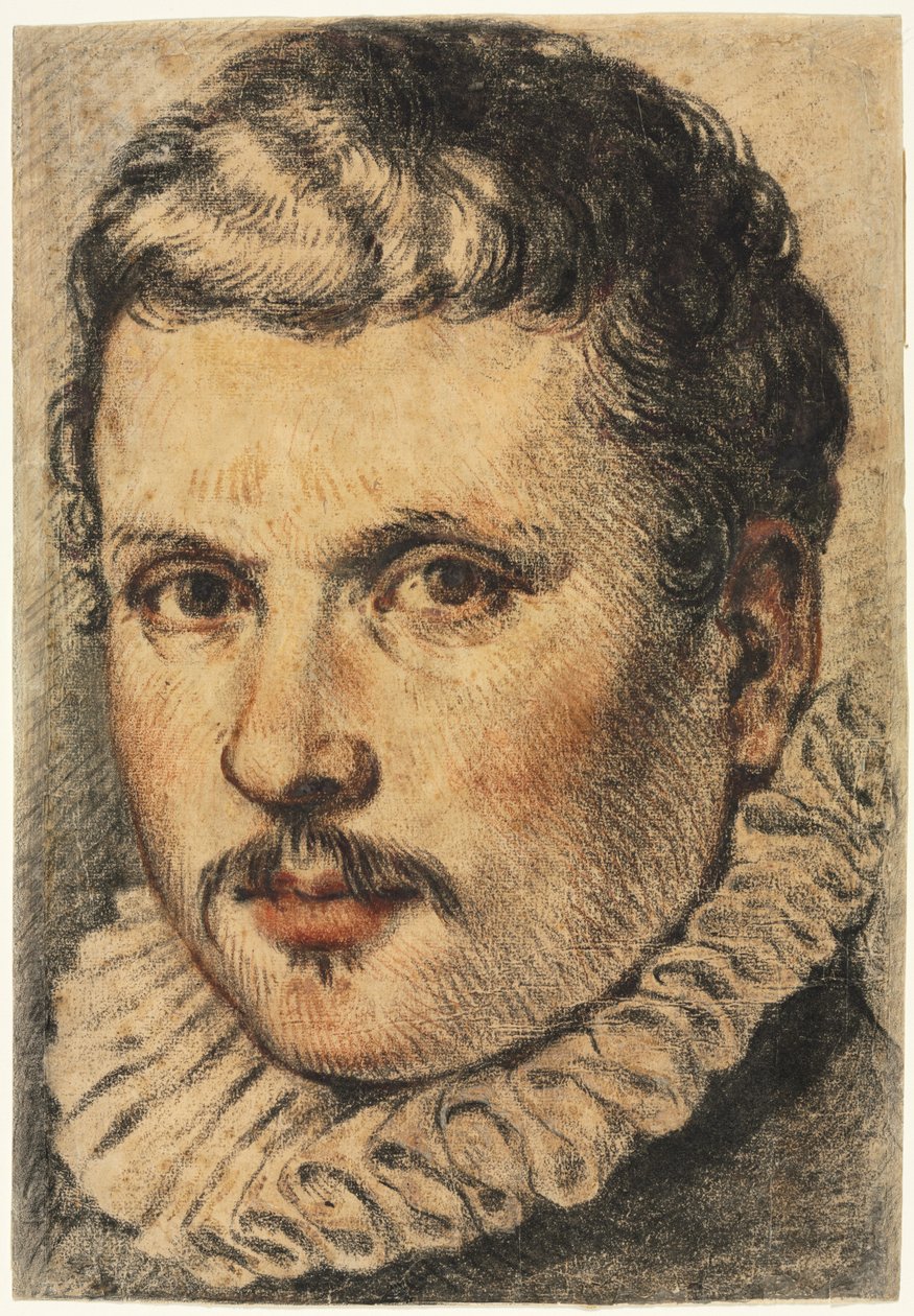 Portrét muže, 1500s. od Unbekannt