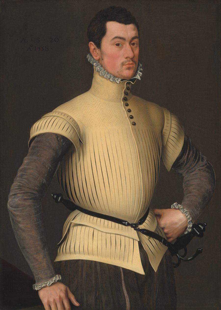 Portrét mladého muže, 1558. od Unbekannt