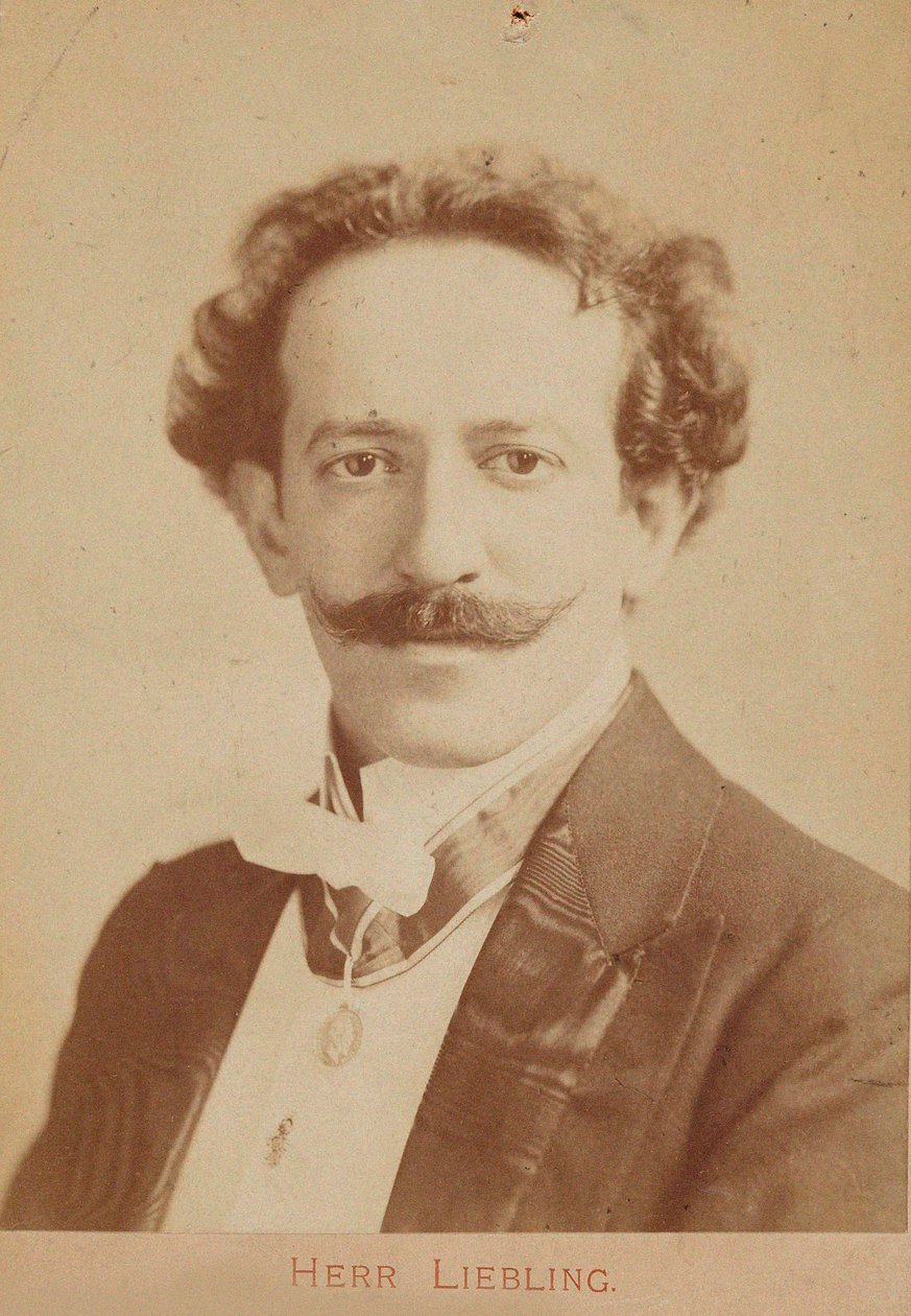 Portrét pianisty a skladatele Georga Lieblinga 1865-1946, c. 1900 od Unbekannt