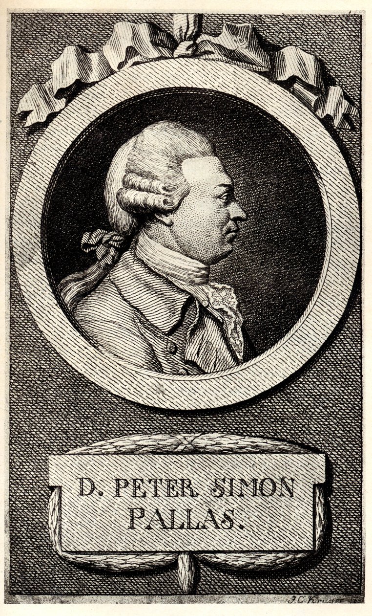 Portrét zoologa a botanika Petera Simona Pallase 1741-1811, počátek 19. stol. od Unbekannt