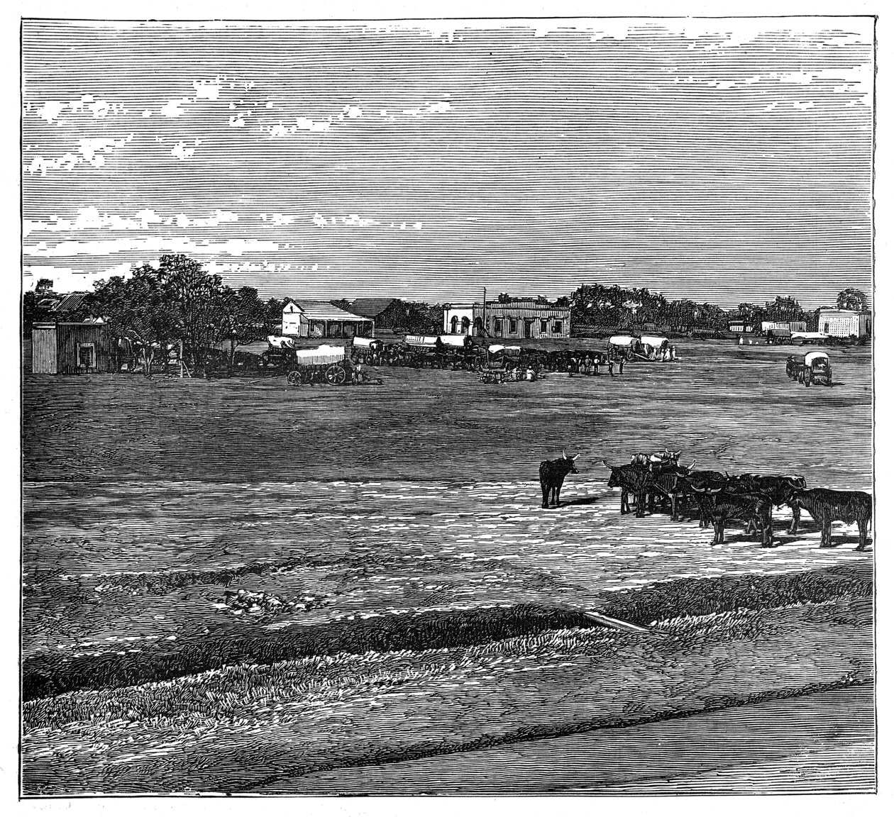 Potchefstroom, Transvaal, Jižní Afrika, c1890 od Unbekannt