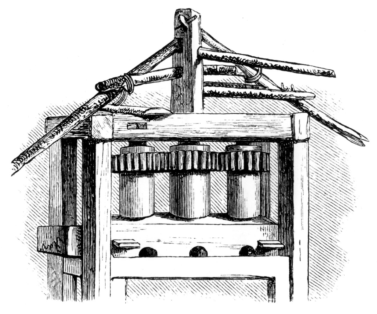 Primitivní cukrovar, Santo Domingo, 1873 od Unbekannt